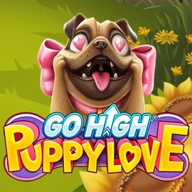 Play the Go High Puppy Love slot by RubyPlay on Energy Casino