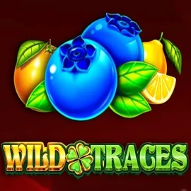 Play Wild Traces slot by Amusnet Interactive on energykaszino.org